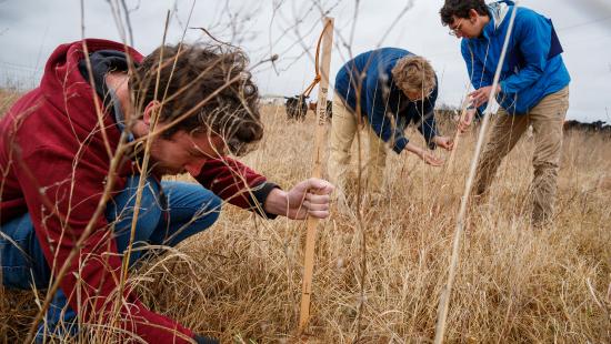 Students measuring the height of grass in a grazing field