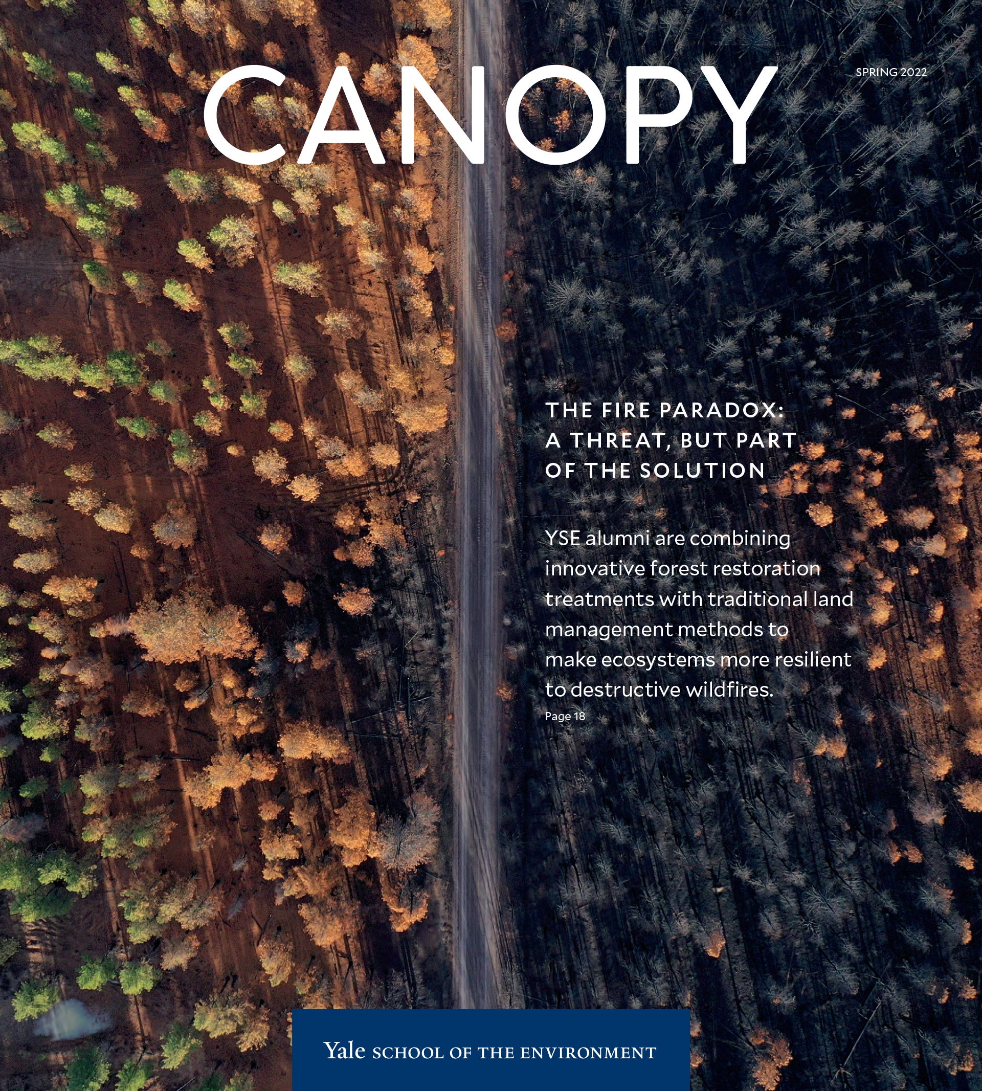 Cover of Canopy magazine