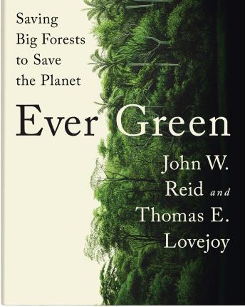 Ever Green book cover