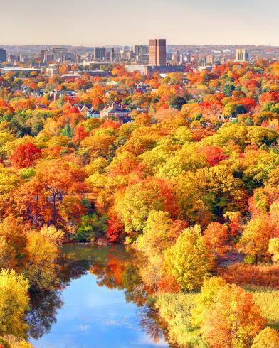 New Haven's dense canopy of trees as seen from the East Rock summit in fall