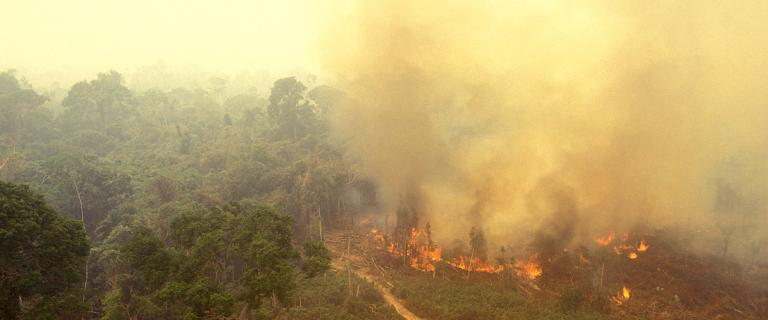 Photo of fire in the Amazon forest