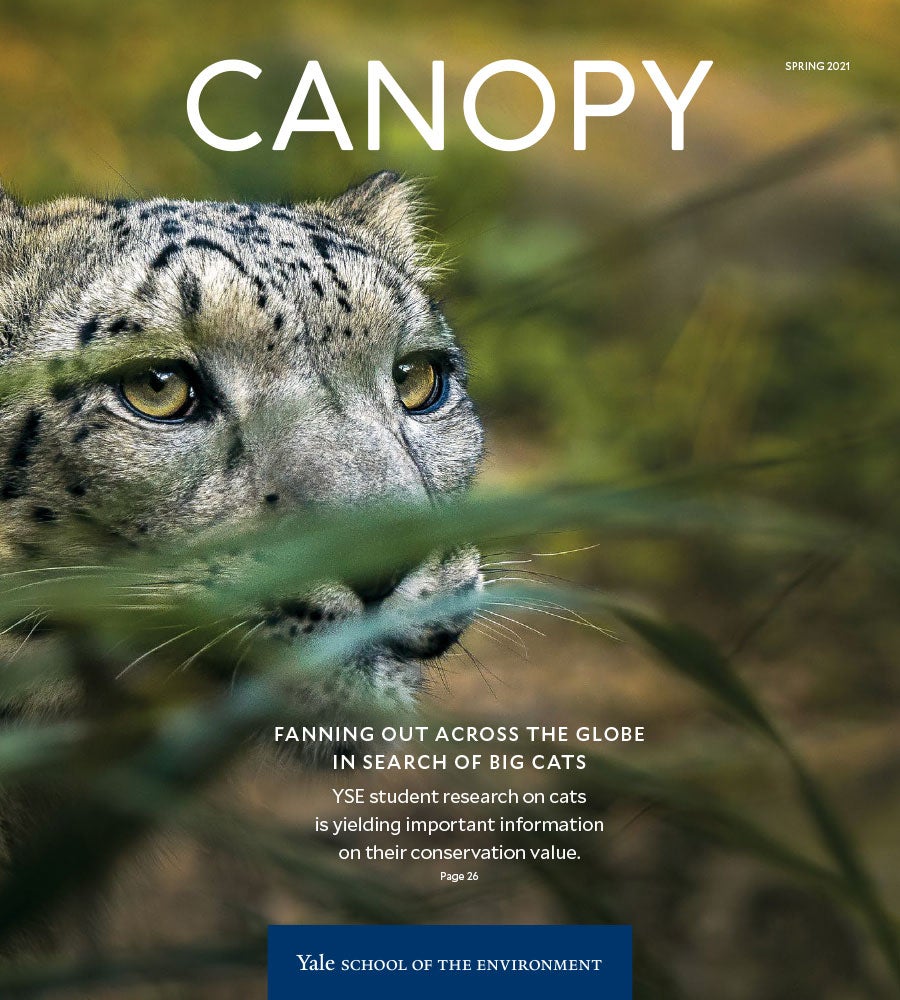 Canoy magazine cover