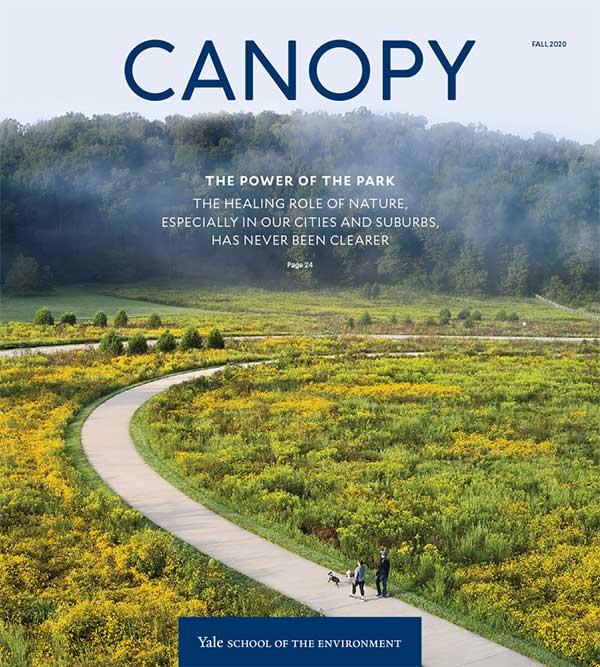 Canopy Fall 2020 cover