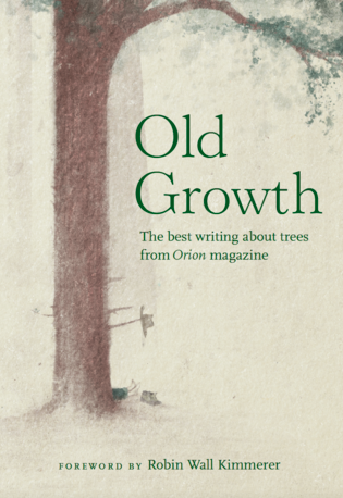old-growth-cover