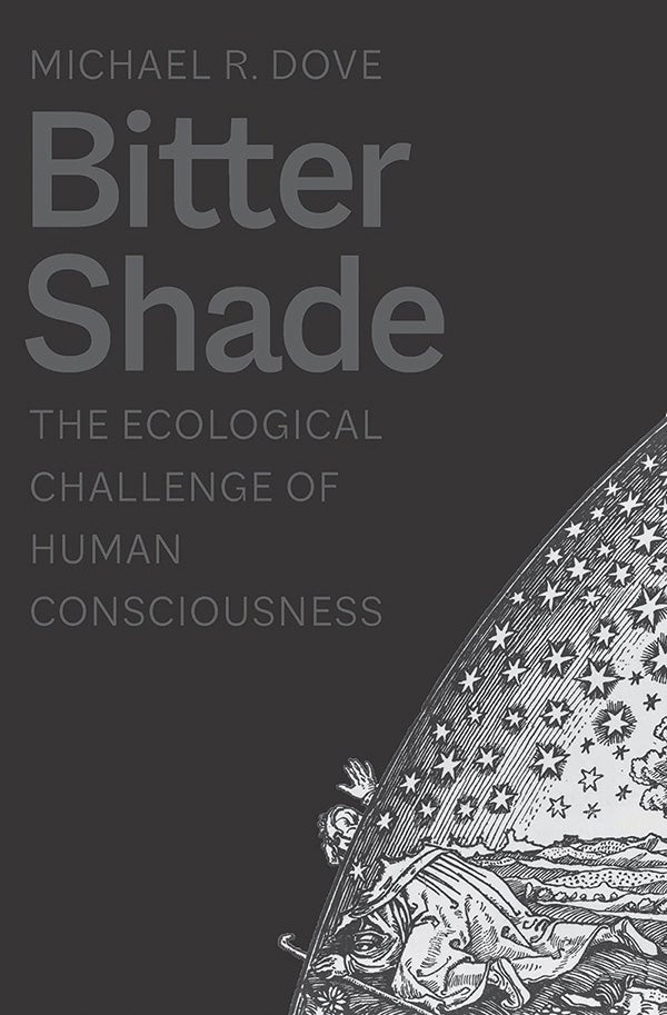Bitter Shade book cover