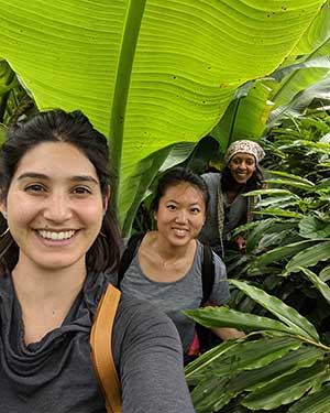 Students standing under a person-sized leaf in a tropical rainforest