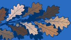 Illustration: leaves on oak branch each leaf a different skin tone