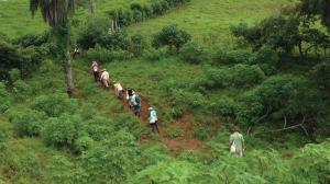 a line of people walking a dirt path up a hillside in the tropcs