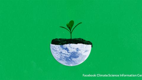 Photo illustration of a planet earth as the dirt-filled bottom half of an egg, with a seedling growing out of it