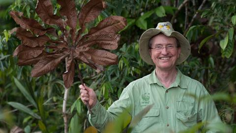 Tom Lovejoy holding up a huge tropical leaf