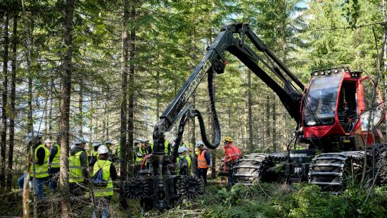 heavy equipment for harvesting trees