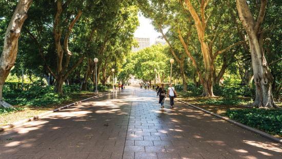 Two people walking a tree-lined sidewalk in an urban park