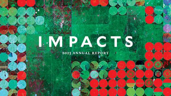 Impacts 2023 Report cover