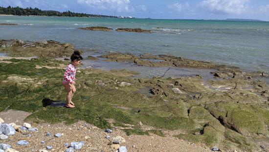 Four-year-old daughter of Lynette Leighton explores the beach in Okinawa, Japan