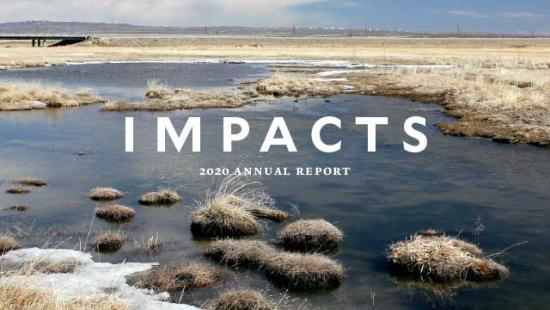 Impacts 2020 cover image of Yellowstone National Park in the fall