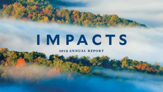Impacts 2019 cover image - aerial fall view of tree-covered mountains with clouds