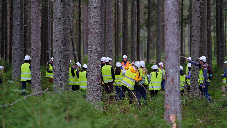 A group wearing bright safety vests in the forest in Finland