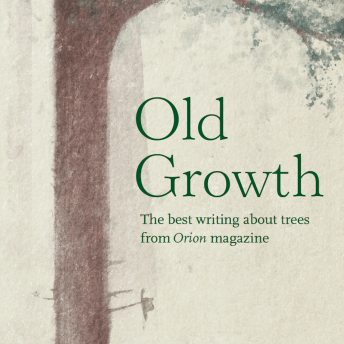 old-growth-cover