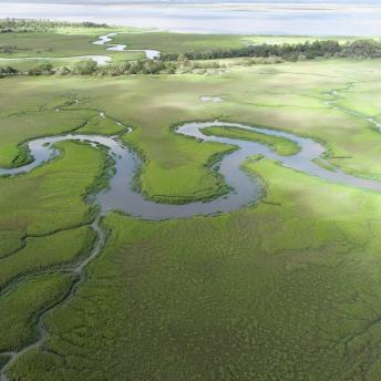 Aerial view of coastal marsh in Georgia