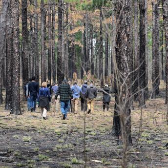 YSE students visit a post-burn forest in North Carolina