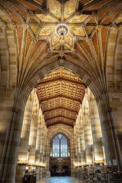 A church-like interior in the Sterling Memorial Library nave