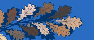 Illustration: leaves on oak branch each leaf a different skin tone