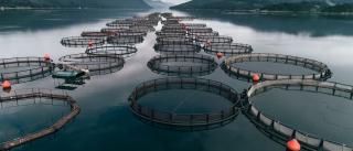 Photo of offshore fish farm