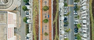 Green walkway in urban development