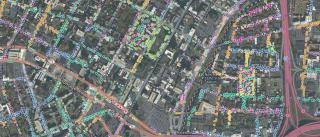 Map of every street tree in New Haven