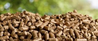 a pile of wood fuel pellets