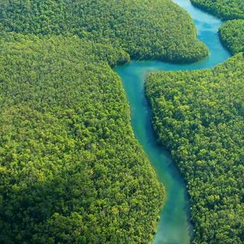 Amazon River aerial view