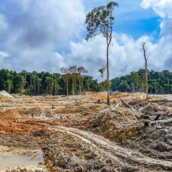 Gold mining in the Amazon rain forest