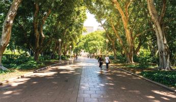 Two people walking a tree-lined sidewalk in an urban park