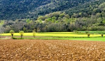 Agricultural crop land