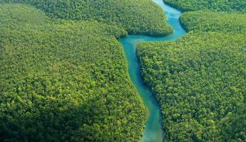 Amazon River aerial view