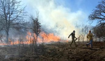 Two foresters managing a controlled burn