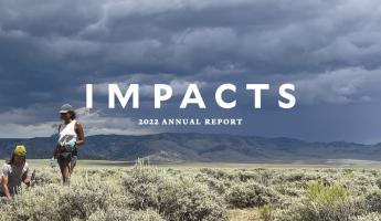 Impacts 2022 Annual Report cover image