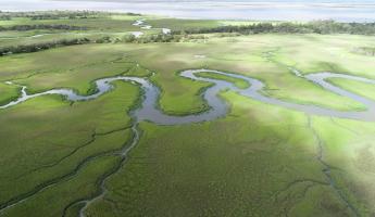 Aerial view of coastal marsh in Georgia