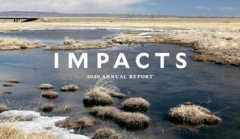 Impacts 2020 cover image of Yellowstone National Park in the fall