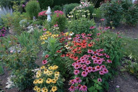 A colorful garden