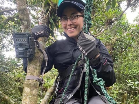 Siria Gamez in a climbing harness placing a camera in the tree tops