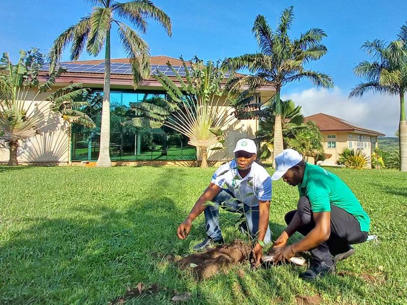 MF photo of two people planting a tree