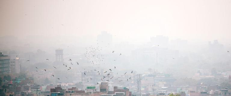Photo of urban smog in India