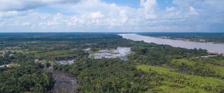 Aerial drone view of Madeira river, igapo igarape lake, Amazon rainforest landscape in Rondonia, Brazil