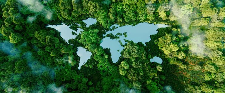 aerial view illustration of lakes shaped like continents in a dense forest