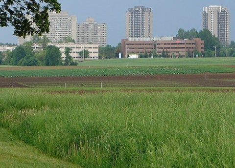 agriculture urban link