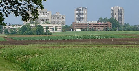 agriculture city yale