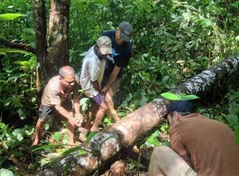 sri lanka forest conservation blog 4 a
