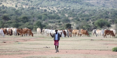 Africa trip pastoralist