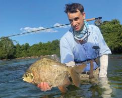 Jenkins on the Iriri River, Brazil, caught (and released) this pacu borracha